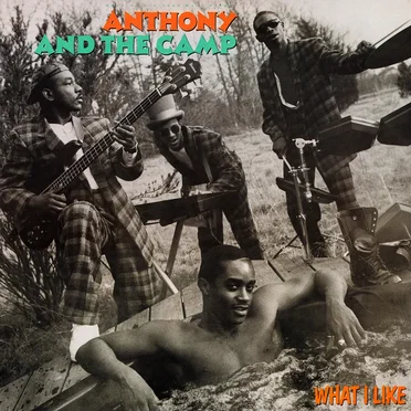 What I Like by Anthony and the Camp - album cover
