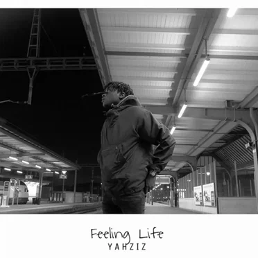Feeling Life