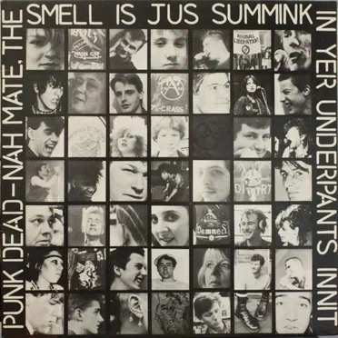 Punk Dead - Nah Mate, the Smell Is Jus Summink in Yer Underpants Innit by Various Artists - album cover