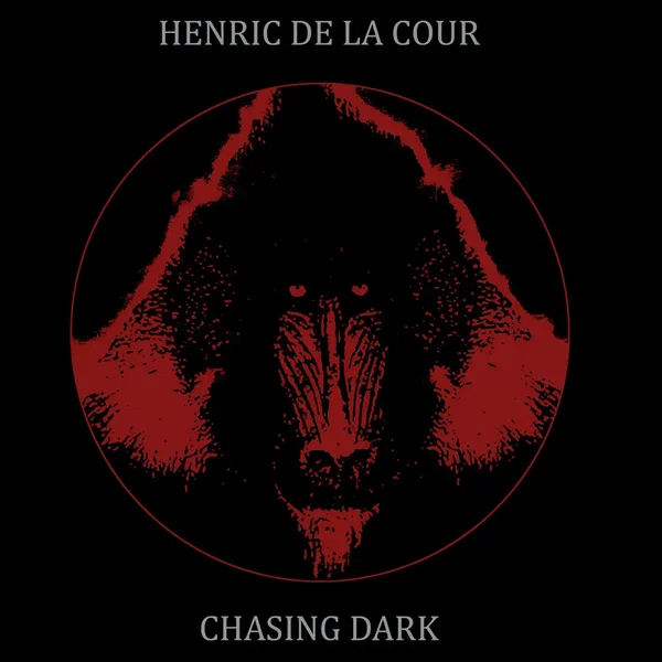 Chasing Dark