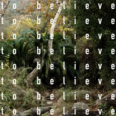 To Believe
