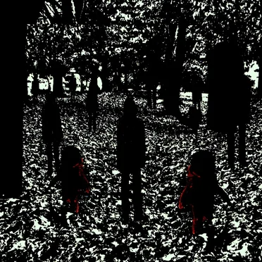 Existential Ambiguity, or Something by Shades - album cover