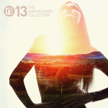 Intrigue 13: The Anniversary Collection by Various Artists - album cover