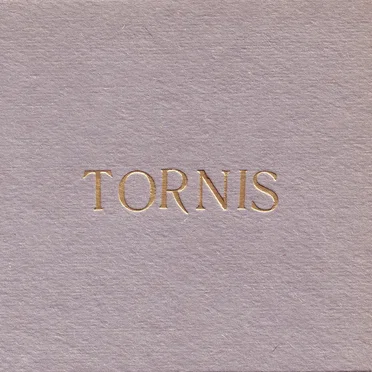 Tornis: 20 Gadi, 20 Dziesmas by Various Artists - album cover