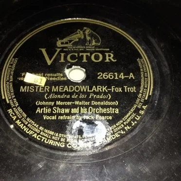 Mister Meadowlark / My Fantasy