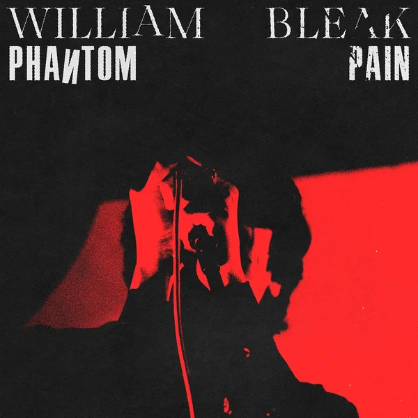 Phantom Pain