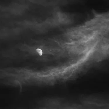 The Isolation Concerts, Volume 13