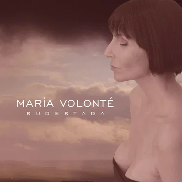 Sudestada