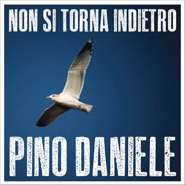 Non si torna indietro