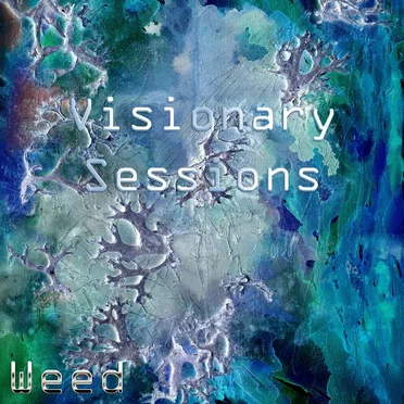 Visionary Sessions by Weed - album cover