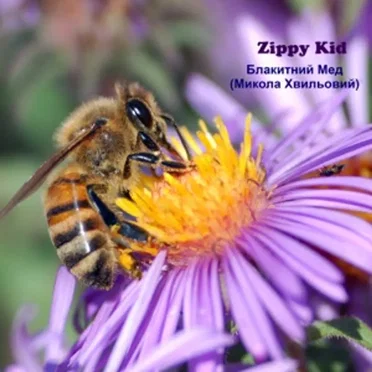 Блакитний Мед (Микола Хвильовий)