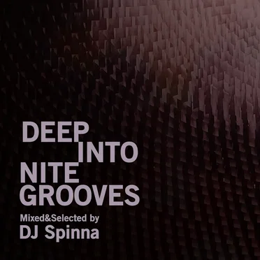 Deep Into Nite Grooves