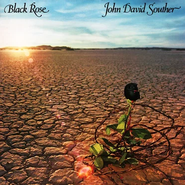 Black Rose