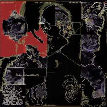 From Dusk Till Bog by Various Artists - album cover