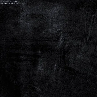 Marshland Seer by onidiom - album cover