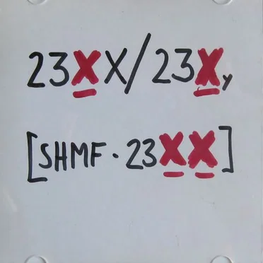 23XX/23Xy