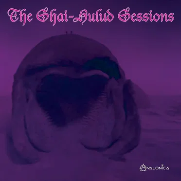 The Shai-Hulud Sessions by The Funkadoomic Sarcophagus Band - album cover