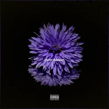 don't bloom