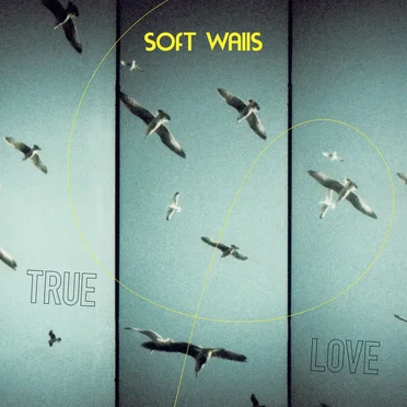 True Love by Soft Walls - album cover