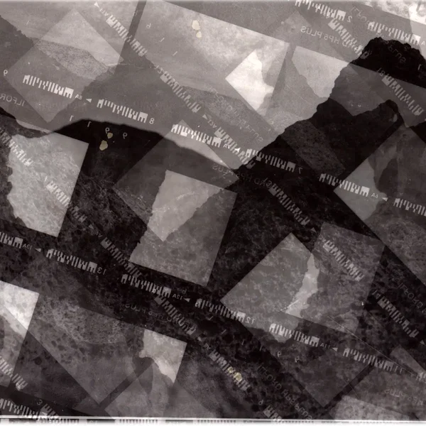 Box Elder, Cold Scholar