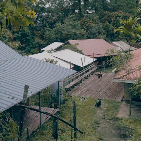 Bung Jagoi - In the Village