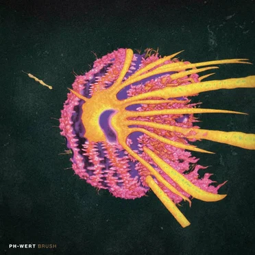 Brush by Ph‐Wert - album cover