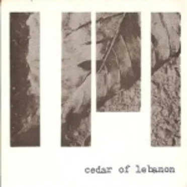 Kingdom / Too Far Gone by Cedar of Lebanon - album cover
