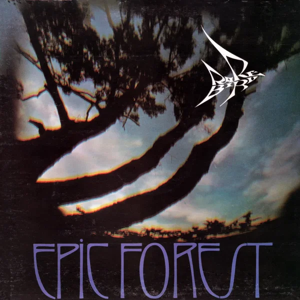 Epic Forest