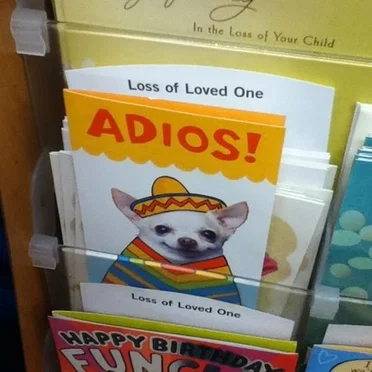nice job bro0o0o0o0o0o0o0