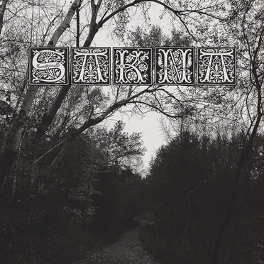 De Syv Dødssynder by Sakna - album cover