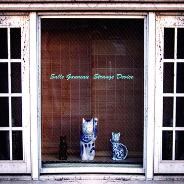 Strange Device by Salle Gaveau - album cover