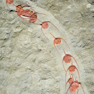 La légèreté (Ritournelle n°1)