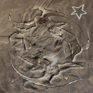 Angels in the Sand by ava* - album cover