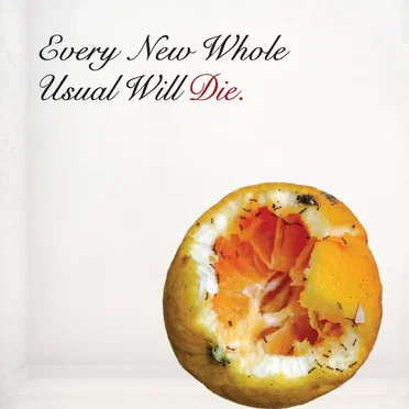 Every New Whole Usual Will Die by The New Whole Usuals - album cover