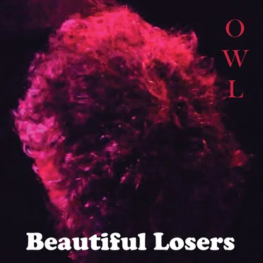 Owl by Beautiful Losers - album cover