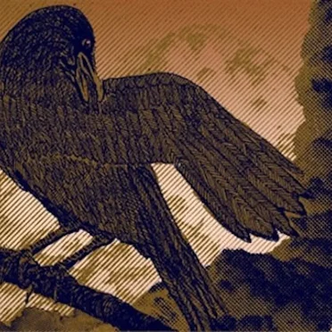 Mommy Crow by e.p. hall - album cover