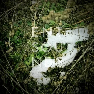 Growth EP by Entsounds - album cover