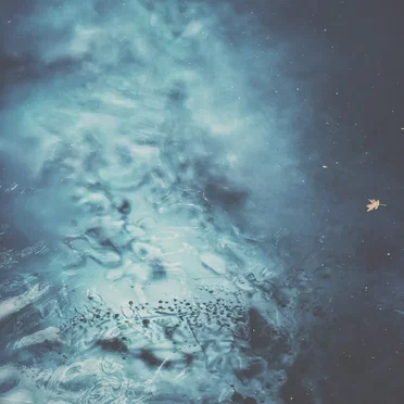 Ocean Stories