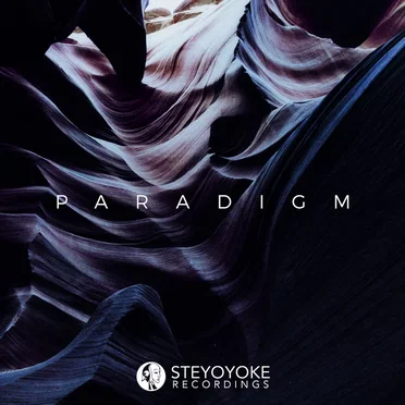 Steyoyoke Paradigm Vol. 03 by Various Artists - album cover