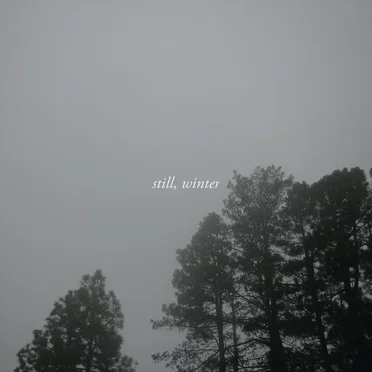 Still, Winter