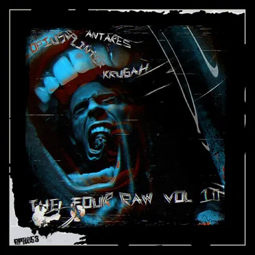 The Four Raw Vol 10 by Various Artists - album cover