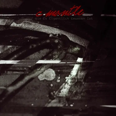 Wie Es Eigentlich Gewesen Ist by C Mantle - album cover