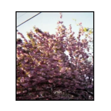 FALLING CHANDELIER by MANSION FIRES - album cover