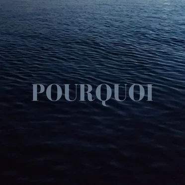 Pourquoi by Rail Wilbers - album cover