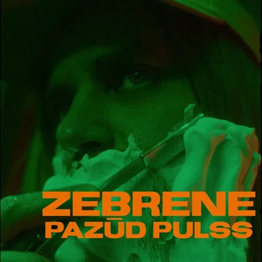 Pazūd Pulss by ZeBrene - album cover