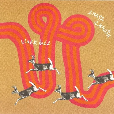 Black Dice / Erase Errata