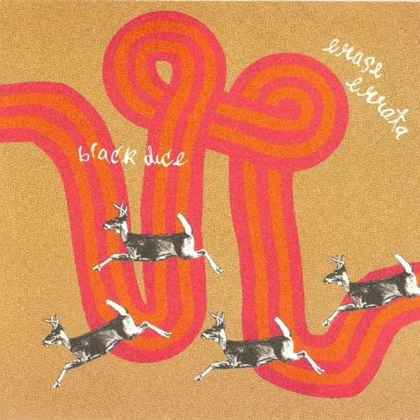 Black Dice / Erase Errata