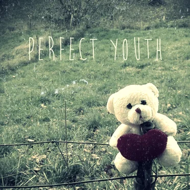 Demo ’13 by Perfect Youth - album cover