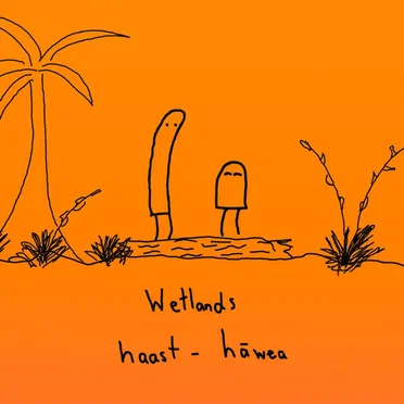 Wetlands by haast - hāwea - album cover