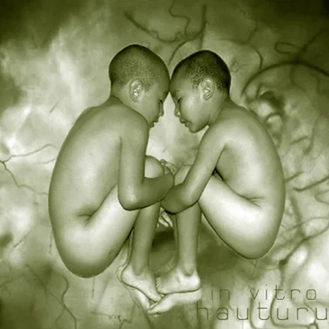 Hauturu by In Vitro - album cover